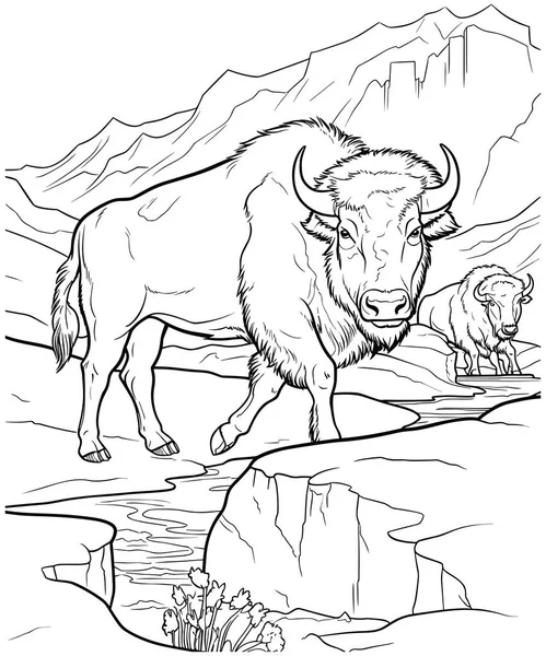 American Bison Coloring Page Vector Illustration — Stock Vector