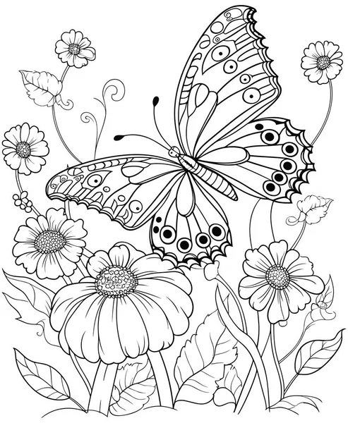 Hand Drawn Butterfly Coloring Book Page Vector Illustration — Stock Vector