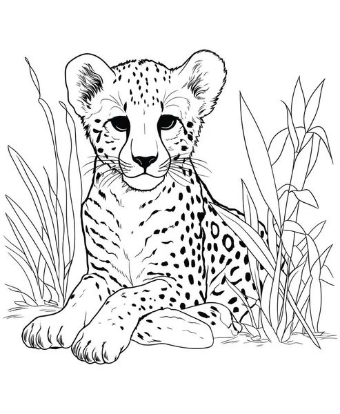 Cheetah Jungle Färgning Sidor — Stock vektor