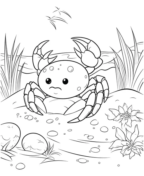 Cute Crab Shell — Stock Vector