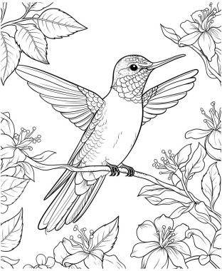 Daldaki kuş, boyama kitabı için çizim.