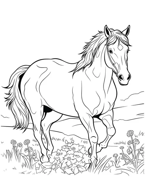 Pferd Malbuch Seite Für Kinder Schwarz Weiß Illustration — Stockvektor