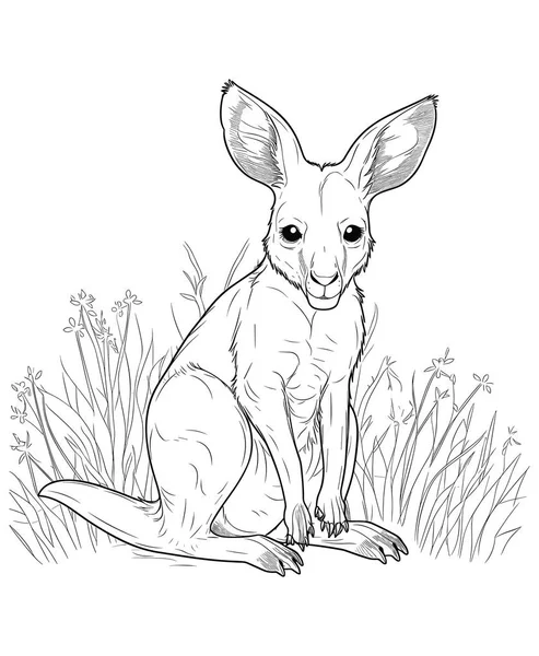 Avustralya Ormanında Tatlı Bir Kanguru Vektör Illüstrasyonu — Stok Vektör