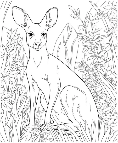 Söt Känguru Teckningar För Barn Uppkopplad Vektor Illustration För Målarbok — Stock vektor