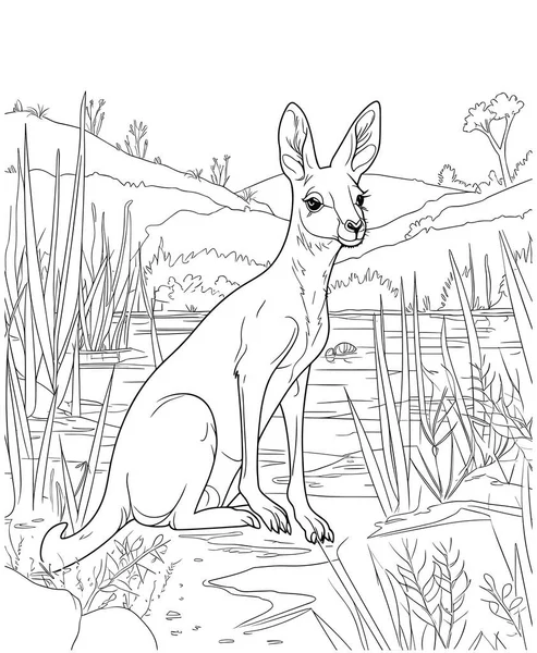 Vector Illustration Kangaroo Australia Isolated White Background — Stock Vector