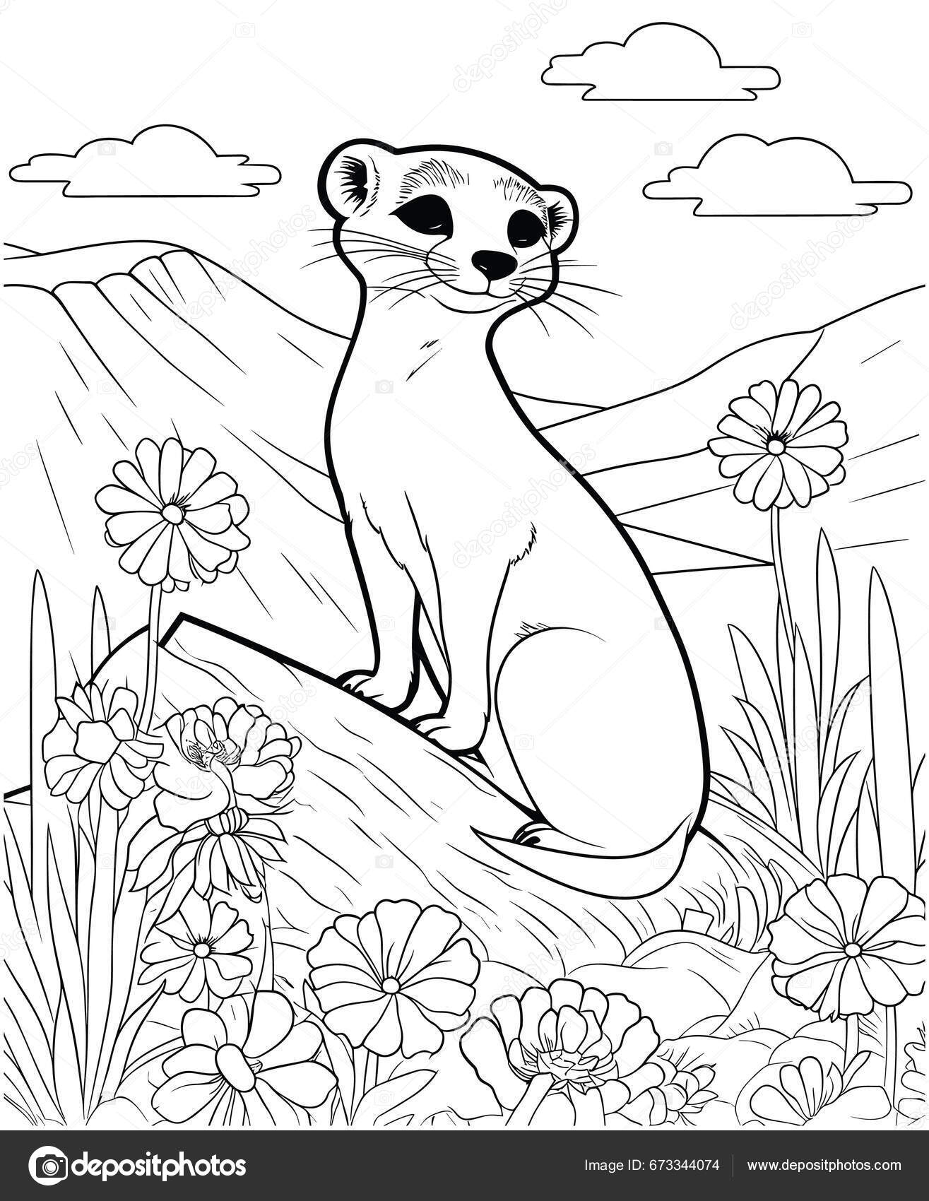 Desenhos para adultos de panda para colorir - Imprimir A4