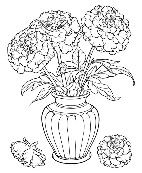 Ilustração Vetorial Flores Vaso Coleção Floral Gráficos De Vetores