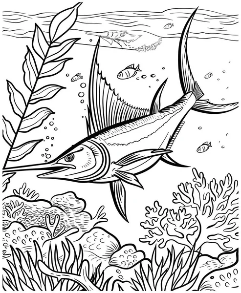 Livro Para Colorir Com Peixes Algas Marinhas Vetor De Stock