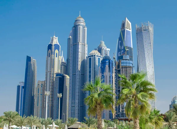 Dubai Marina Skyscrapers Palm Trees Dubai United Arab Emirates Royaltyfria Stockbilder