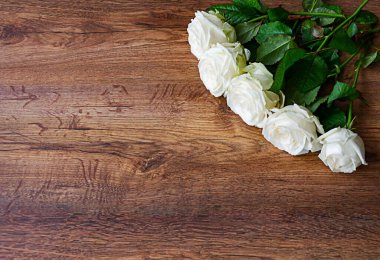 Koyu ahşap arka planda beyaz güller. Fotokopi alanı olan doğal çiçek arkaplanı..