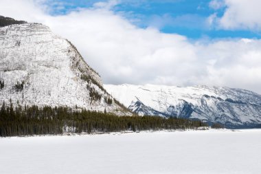 Kış manzarası, Kanada dağları, Alberta eyaleti, beyaz karda, kışın arka planda kopya alanı