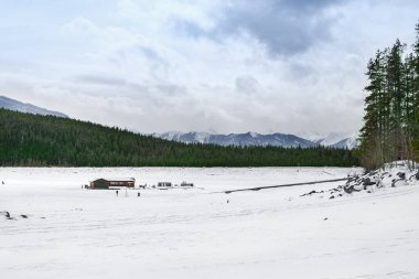 Kış manzarası, Kanada dağları, Alberta eyaleti, beyaz karda, kışın arka planda kopya alanı