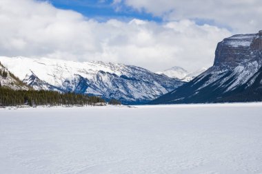 Kış manzarası, Kanada dağları, Alberta eyaleti, beyaz karda, kışın arka planda kopya alanı