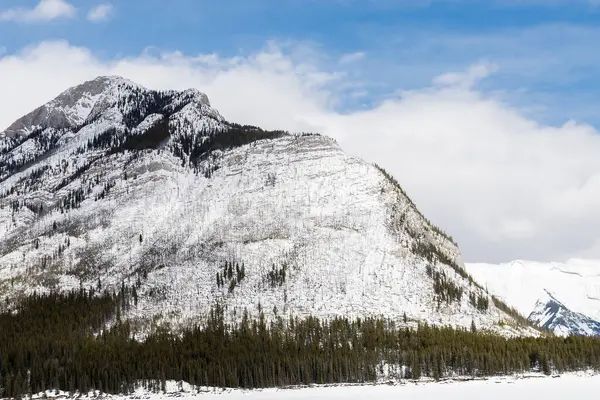 stock image Tall mountain peaks, blanketed in fluffy white snow, glisten under the bright sunlight, contrasting beautifully with the deep blue sky. The foreground is adorned with dense evergreen forests, adding texture and natural beauty to the composition. This