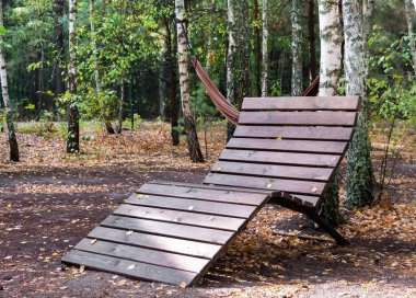 Ağaç ağaçları ve renkli yaprakların arasında asılı duran bir hamağın yanında, sonbahar ormanı zemininde bir ahşap sandalye uzanır..