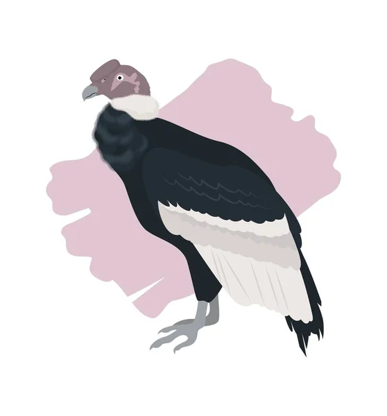 Хищная Птица Андского Кондора Векторная Плоская Иллюстрация Фоне Розового Пятна — стоковый вектор