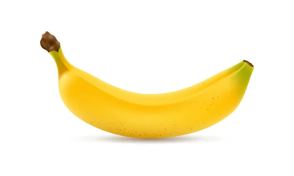 Reális Banán Elszigetelt Fehér Háttérrel Vektorizolált Illusztráció — Stock Vector