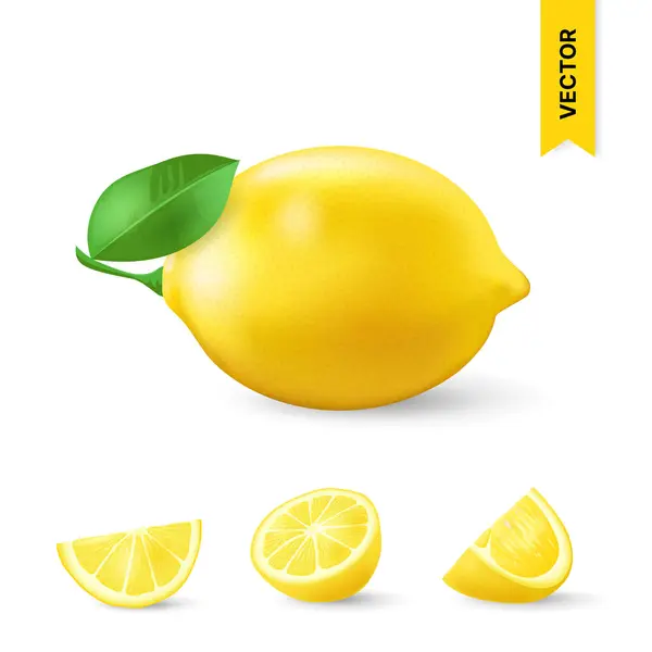 Yeşil Yapraklı Gerçekçi Limon Bütün Dilimlenmiş Ekşi Taze Meyve Kabuğu — Stok Vektör