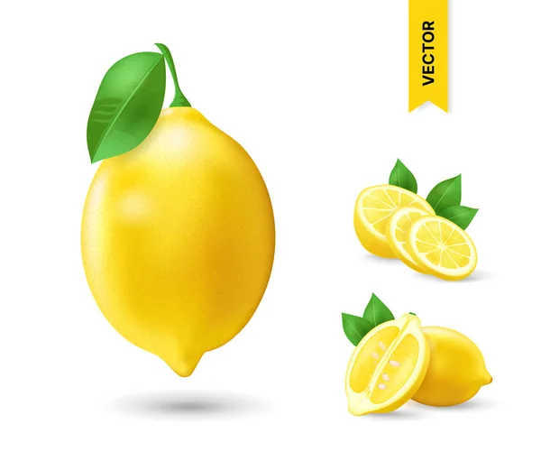 Yeşil Yapraklı Gerçekçi Limon Bütün Dilimlenmiş Ekşi Taze Meyve Kabuğu — Stok Vektör