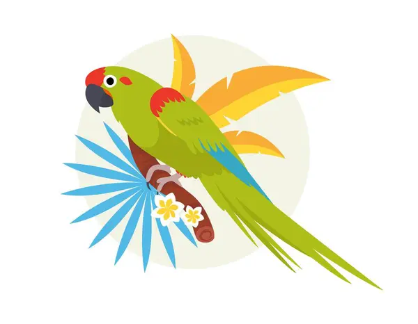 The red-fronted macaw is an endangered bird species. Bird, parrot. Rare. Vector flat illustration