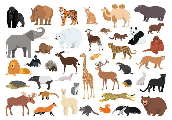 Bir sürü vahşi hayvan. Hayvanlar aleminin şirin vektör karakterlerinin toplanması, beyaz üzerine izole edilmiş.