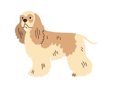 Şirin cocker spaniel köpek ayakta duruyor. Evcil hayvan, üreme. İzole edilmiş düz vektör çizimi