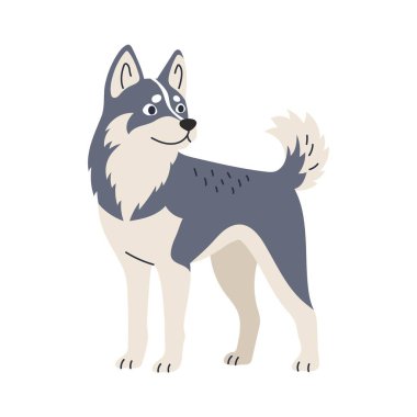 Şirin köpek, ayakta duran köpek. Evcil hayvan, üreme. İzole edilmiş düz vektör çizimi
