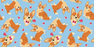 Çiçekli ve balonlu kusursuz Galli Corgi Pembroke köpeği. Evcil hayvanlar, hayvanlar. Dekor ve tekstil için arkaplan