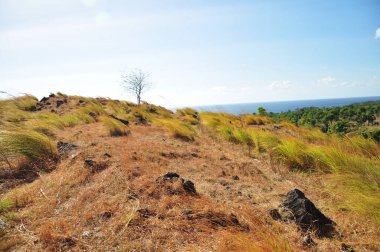 Doğu Bali Savana ve Agung Dağı, Bali Endonezya