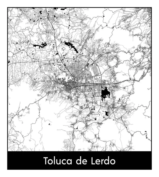 Толука Лердо Мексика Північна Америка Карта Міста Чорно Біла Векторні — стоковий вектор