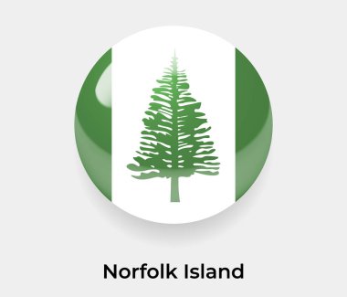 Norfolk Adası parlak baloncuk dairesi yuvarlak şekil ikon vektör illüstrasyon camı