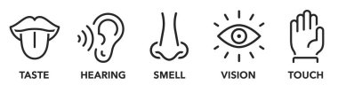 İnsan duyuları simgesi ayarlandı. Beş çeşit insan duyusu - tat, işitme, koku, görme, dokunma. Burun, göz, el, kulak, ağız dil çizgisi tarzı koleksiyonu - stok vektörü.