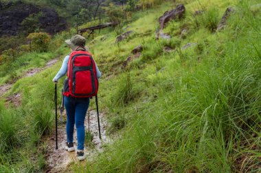 Asyalı kız seyahatleri ve yürüyüş yolları tatilde macera yürüyüşü konsepti.