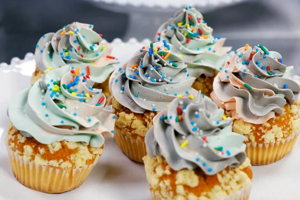 rainbow frosted vanilla flavored cupcake or muffin with sprinkles