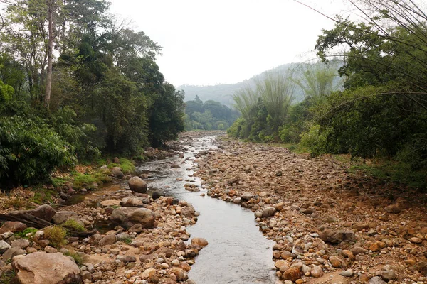 Naturlig Vacker Skog Och Flod Med Sten Kerala — Stockfoto