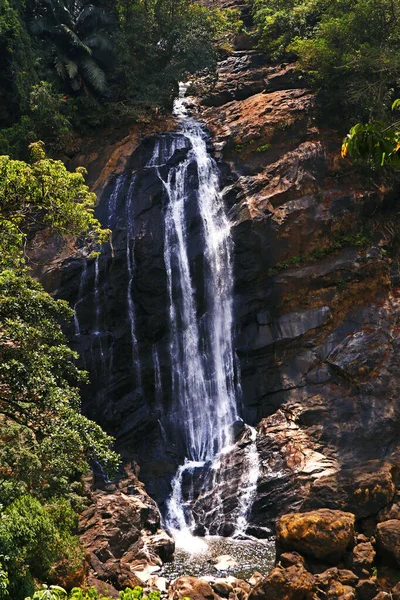 Waldwasserfallbach Wasserfall Tiefen Wald Wasserfall Flusswaldszene — Stockfoto
