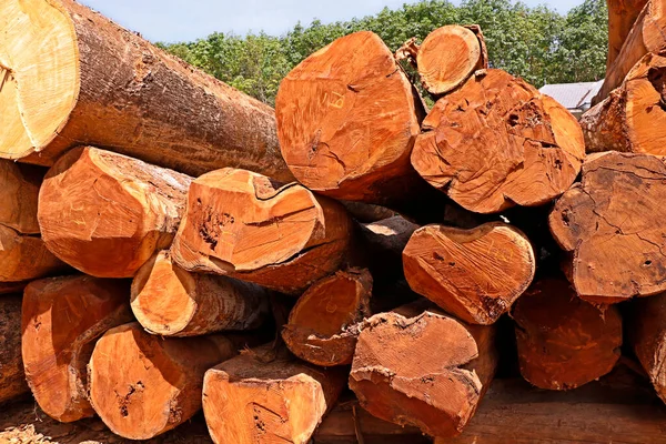 Ahşap Kütükler Üst Üste Istiflenmiş Yakacak Odun Yığını Yakın — Stok fotoğraf