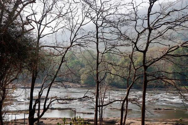 Djup Skog Djungel Med Ström Flodvatten Athirapally Kerala — Stockfoto