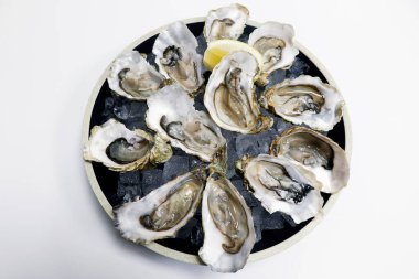 Claire 'in taze istiridyeleri soyuldu ve beyaz arka planda buzun üzerine yerleştirildi.