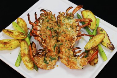 lobster thermidor served with glazed potato and asparagus in a platter, black background clipart