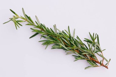 Biberiye beyaz arkaplanda izole edildi, Üst görünüm.