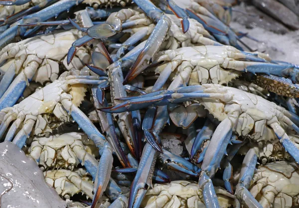 blue crabs for sell in a market stall