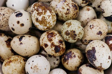 Beyaz arka planda izole edilmiş taze bıldırcın yumurtaları.