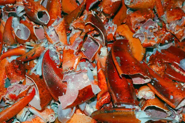 Atlantik Istakoz Kabukları Çoğunlukla Gübre Olarak Deniz Ürünleri Çorbaları Stokları — Stok fotoğraf
