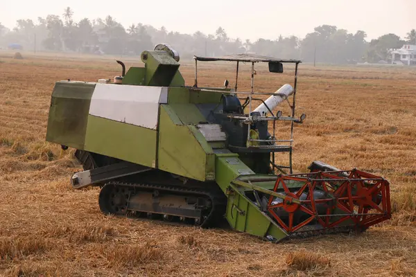 rice crop harvesting machine in a paddy field