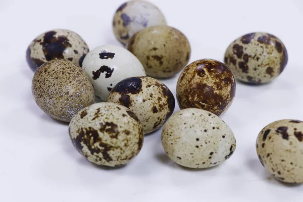 白い背景に隔離された新鮮なウズラの卵 — ストック写真