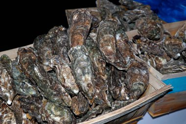 Bir markette satılmak üzere bir kutuda taze Clair istiridyeleri.