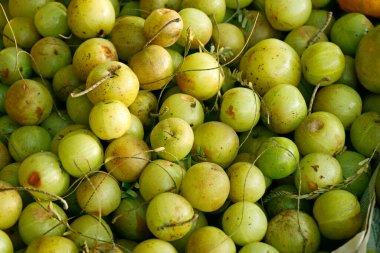 Hint bektaşi üzümü. Amla meyvesi özütü kan glukozunu azaltır. Antiviral ve antimikrobik içerir. özellikler. Ayurvedic ilaçlarda kullanılır. Yeşil Hindistan