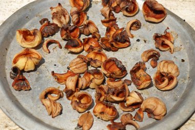 Garcinia gummi-gutta, Endonezya 'ya özgü tropikal bir tür. Yaygın isimler arasında Garcinia Cambogia (eski bir bilimsel isim), brindleberry, Malabar tamarind ve kudam puli (saksı tamarind) sayılabilir.).