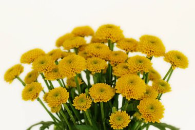 Canlı sarı çiçek buketi yakın plan.